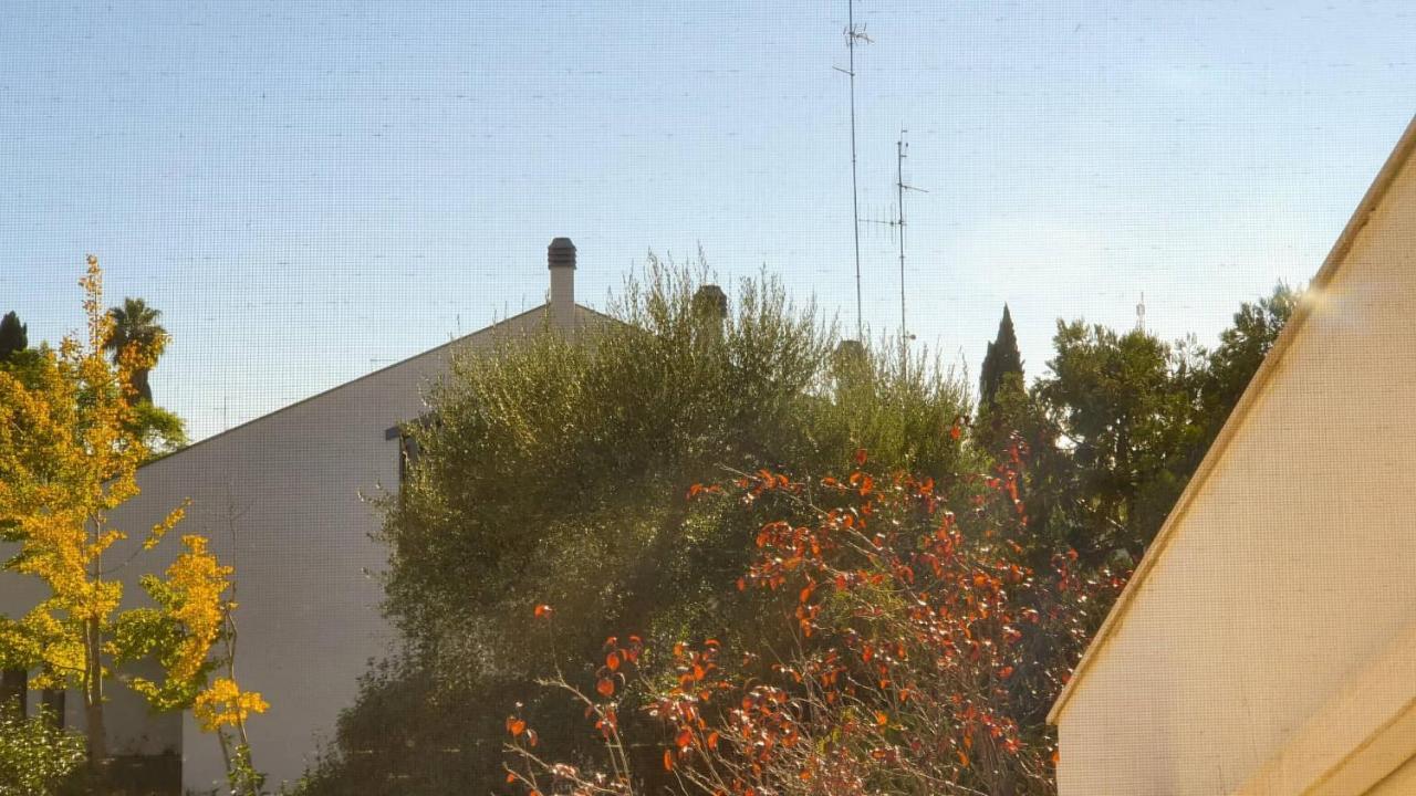 Standaard Eenpersoonskamer met Gedeelde Badkamer