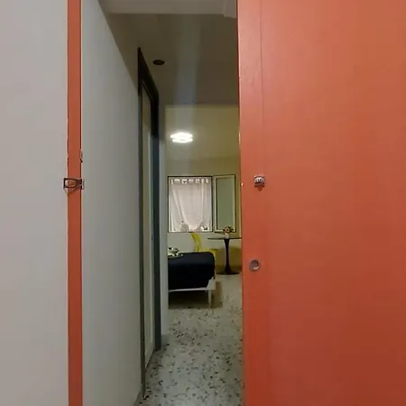 Kaktus 2-3