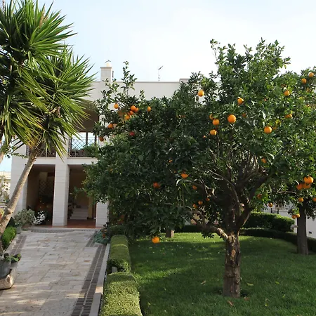 B&B La Rosa Blu-2