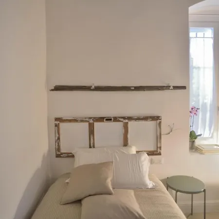 B&B Murex-2